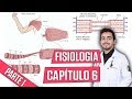 Fisiologia - Contração do Músculo Esquelético (Capítulo 6) PARTE 1│ Guyton