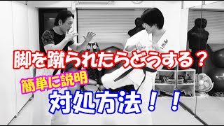 【解りやすく解説！】　脚を蹴られた時の対応・対処方法