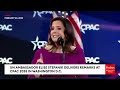 elise stefanik highlights commitment to america first values promises to always defend israel