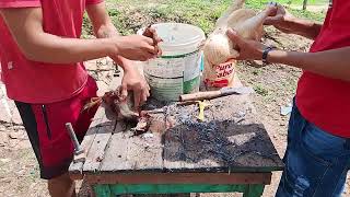 Fizemos Galinha Caipira Pro Almoço