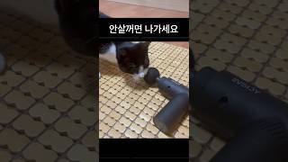 안살꺼면 나가세요 2탄