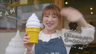 【WAKUMESHI】DAIMYO SOFTCREAM 生クリームミルクソフト・八女抹茶・ミックス(ミルク\u0026抹茶)【20秒で見る福岡グルメ】