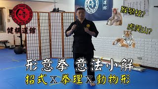 中國武術招式名字很中二? 關鍵在「意法」【傳武概念講堂】_形意拳八卦掌_健棋道館