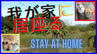 我が家に居座る Stay in my house