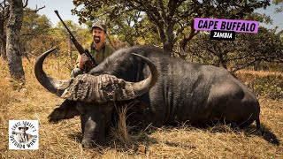A Cape Buffalo Beast in Zambia
