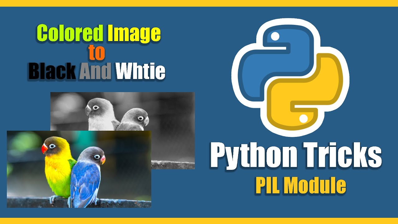 Convert Colored Image To Black And White In Python Pil Module Youtube
