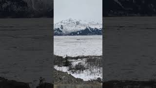 アラスカの流氷 / Drift Ice around Turnagain Arm