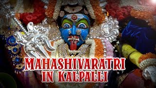 Mahashivarathri in Kalpalli | Sri Nagakaliamma Temple | Kutty Kalpalli Lawrance | Singer Velmurugan