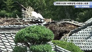 朝から現場検証　重要文化財「中家住宅」の屋根に被害