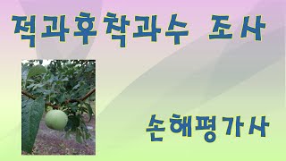 [손해평가사]2022.07, 경북 청송, 적과후착과수조사, 사과, #손해평가사 #손해평가사실무