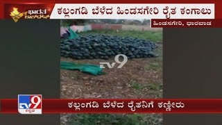 Watermelon Farmers Of Kalaghatagi Taluk Of Dharwad Are Facing A Tough Time Due Coronavirus Outbreak