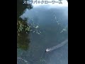 ダイソー shorts 釣り fishing