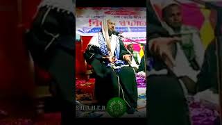 bangla waz | মানুষ দিনে দিনে উদাসীন হচ্ছে | mufti abul bashar waz | islamic telent tv