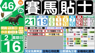 賽馬貼士🤖機械人賽馬研究所🐴2月16日☀️沙田日馬⚪赛马贴士🔴香港賽馬貼士 🟡賽馬分析🔵免費貼士🔴香港赛马🟣機械人貼士🟢跑馬貼士 #賽馬貼士