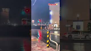 Terrible lightning destroyed tall trees in an instant #shorts #tintuc #thoisu #tinnong #tintuc24h