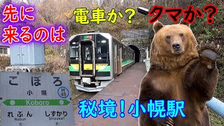 羆が先か？電車が先か？日本一の秘境駅「小幌駅」に徒歩で来た！【小幌駅：前編】４K