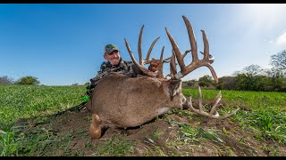 Bowhunting "ShowTime" A 194 4/8” Iowa GIANT! | A 20 Pt Buck |