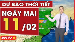 Dự báo thời tiết ngày mai 11/2: Hà Nội còn mưa phùn, TP. HCM sáng nắng, chiều có thể mưa | ANTV