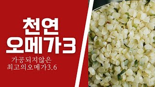 오메가3? 가공되지않은 이것을 드십시요! #천연물질 #황금비율