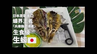 2023全新到貨 日本『生食級』生蠔 開箱影片