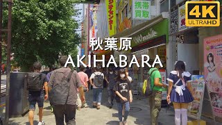 【4K】Tokyo Walk | Akihabara | 夏の秋葉原 | 中央通り 秋葉原の街並みを散策