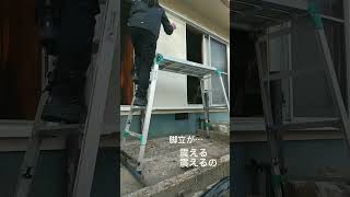 脚立って揺れるのかな？誰か正しい使い方教えてあげて #diy #renovation #diy女子 #中古住宅