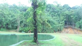 Welcome to Beautiful Handunkanda Eco Resort