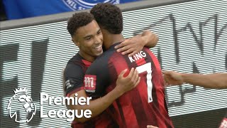 Junior Stanislas seals Bournemouth's win over Everton | Premier League | NBC Sports