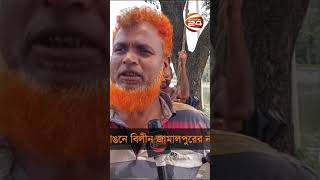 যমুনার ভাঙনে বিলীন জামালপুরের নানা স্থাপনা | Channel 24