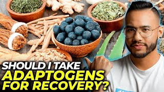 Should I Take Adaptogens for Recovery | CHRONIC FATIGUE SYNDROME