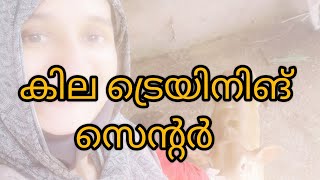 KI L A ട്രെയിനിങ് സെന്റർ നിങ്ങൾ കേട്ടിട്ടുണ്ടോ Kaisus World Official