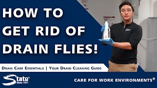 How To Get Rid of Drain Flies