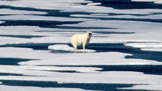 Scientists Warn of Impending 'Catastrophe' with Climate Change