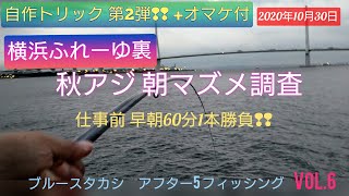 晩秋のふれーゆ裏　朝マズメのアジ調査❢