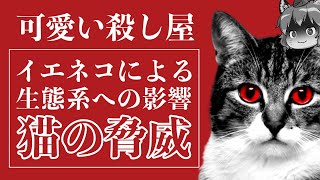 ネコは危険な外来種！？生態系を破壊する可愛いハンターの真実