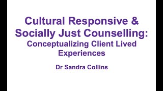 Conceptualizing Client Lived Experiences