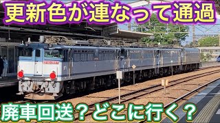 EF66形がEF65形3重連を引っ張る珍編成！到着した先に行くとそこは？