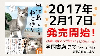 フォトコミック「田代島ねこ便り」発売！ー 2月17日・実業之日本社より