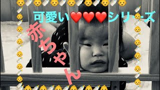 【0歳6ヶ月】睡魔と闘う　可愛い　ミルク🍼眠い