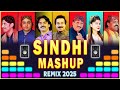 Sindhi Mashup Wedding Remix 2025 | All Singers in one song | DJ Remix | Shadi Remix Meer Ali Abbasi