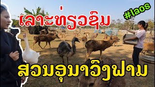 Laos : ມາຢ້ຽມຊົມ ສວນອຸນາວົງ |  เยี่ยมชมสวนอุนาวงฟาร์ม .