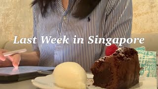 vlog - my last vlog in Singapore as a college student | traveling SG before leave