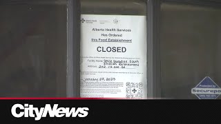 Calgary restaurant shut down after AHS finds moldy food, dead mice and filthy kitchen