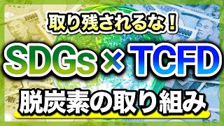 脱炭素の取り組み方（SDGs/TCFD/ESG徹底理解)