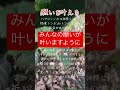 【みんなの願いが叶いますように】神様トンボ、ハグロトンボ 別名の由来は諸説あるようですが、羽を閉じたり開いたりする姿が人が手を合わせて神様に祈る姿に似ていることから神の使いとして大事にされてきた様です