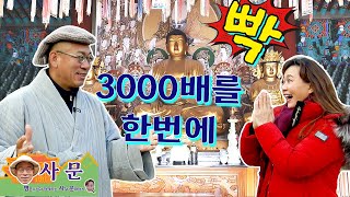 [명사문] 유명한 물과 아름다운 정원이 있는 절 경주 기림사