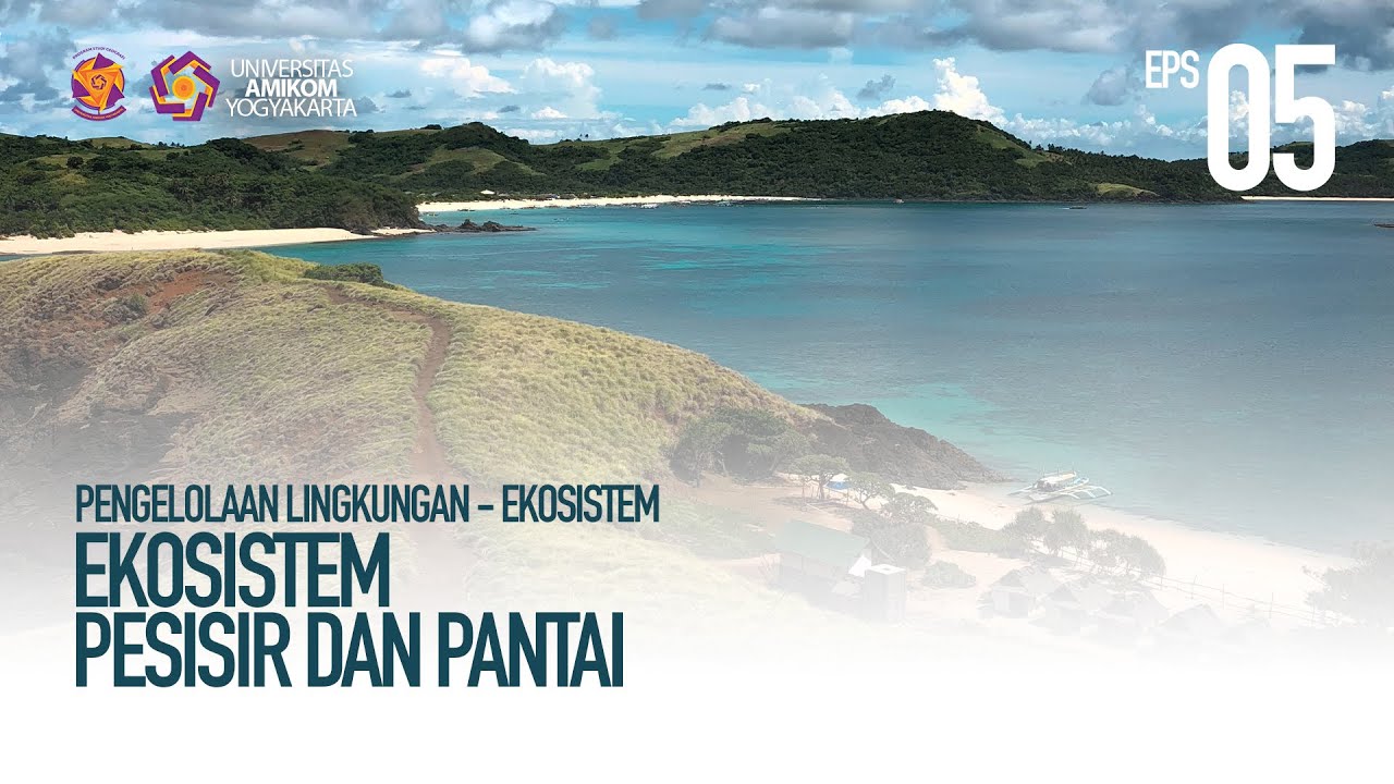 Pengelolaan Lingkungan - Ekosistem : Ekosistem Pesisir Dan Pantai - YouTube