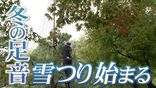 冬の足音が近づく　国名勝「養浩館庭園」で雪つり作業が始まる(2022年11月1日)