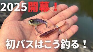 【初バス釣り】冬釣れない、狙い方がわからない人はこの釣り方を試してみてください。冬バスの狙い方が分かれば、簡単に釣れるようになります。【初釣り】【メタルバイブ】【ダウンショット】【謹賀新年】