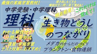 【中学受験理科・中学理科一問一答】生き物どうしのつながり[メダカのつくり,プランクトン,食物連鎖] （解説付き）